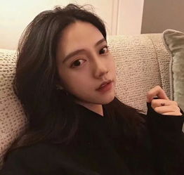 糖心vlog电脑版下载入口|高清视频、在线教学、创作工具一体化