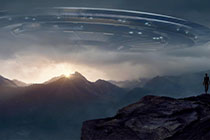 如何找到最适合自己的麻豆系列作品?